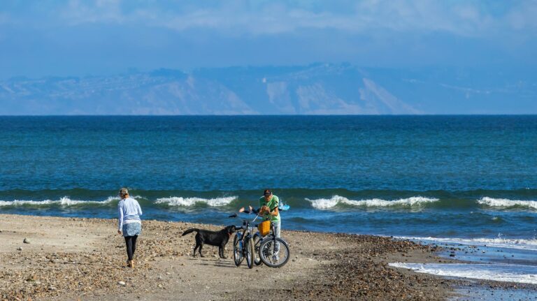 A couple enjoys a tranquil walk on the beach with their dog, bicycles nearby, under a clear blue sky.