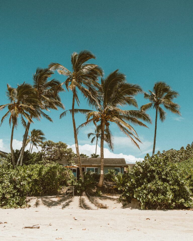 Peaceful beach scene with palm trees and a house under a clear blue sky in Hawaii.